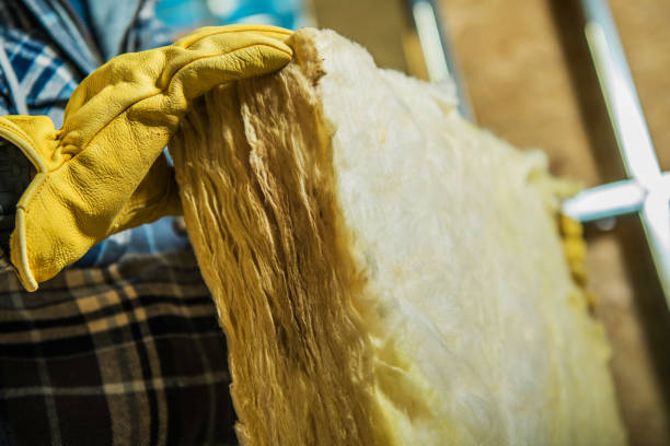Best Eco-Friendly Insulation in Palo Alto, CA