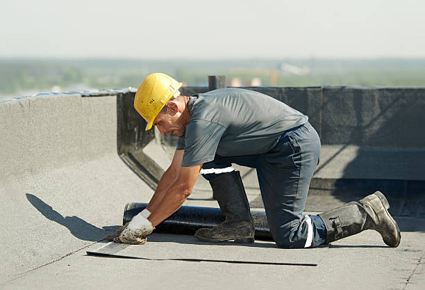 Best Cellulose Insulation in Palo Alto, CA